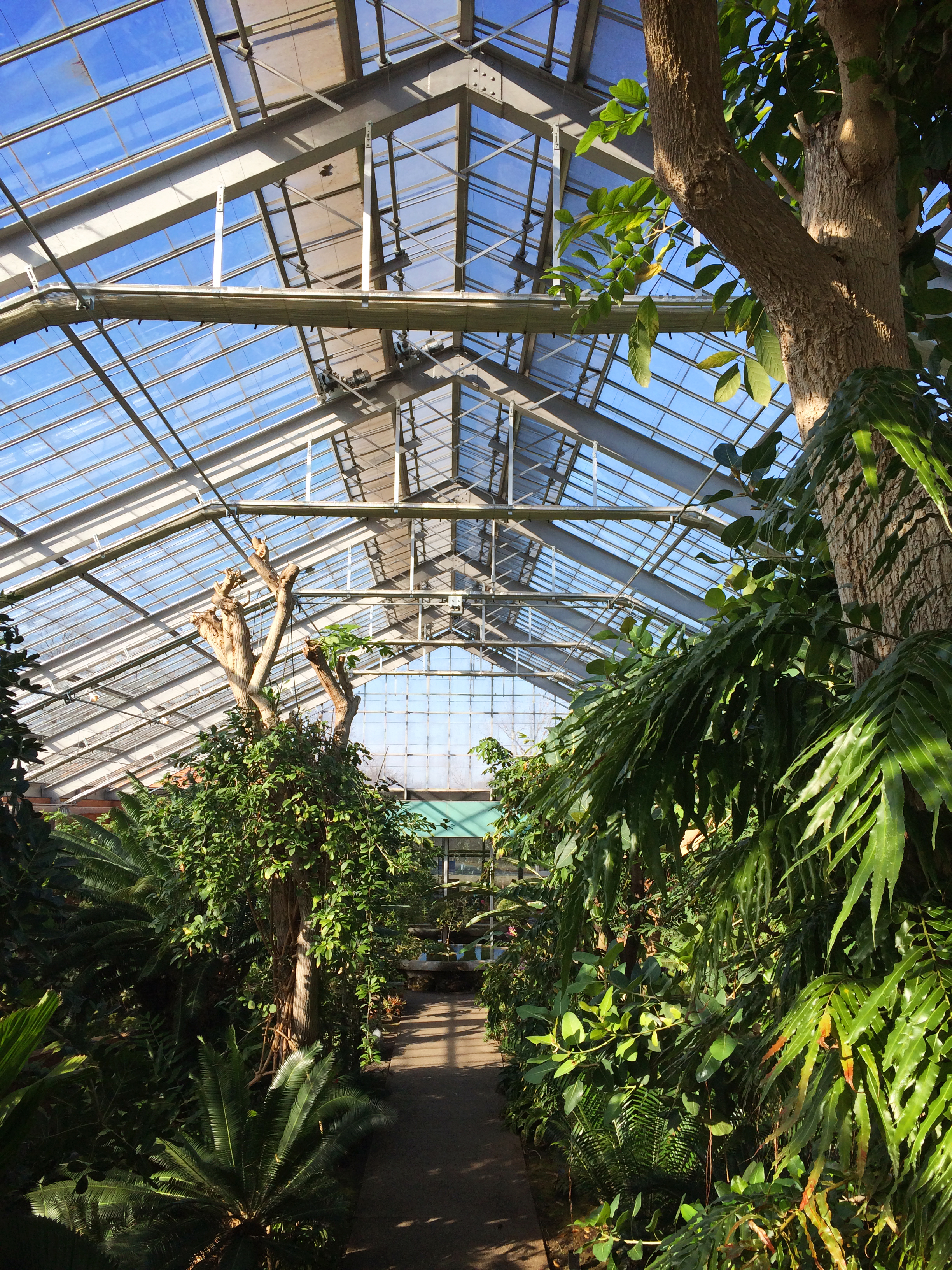 Matthaei Botanical Gardens